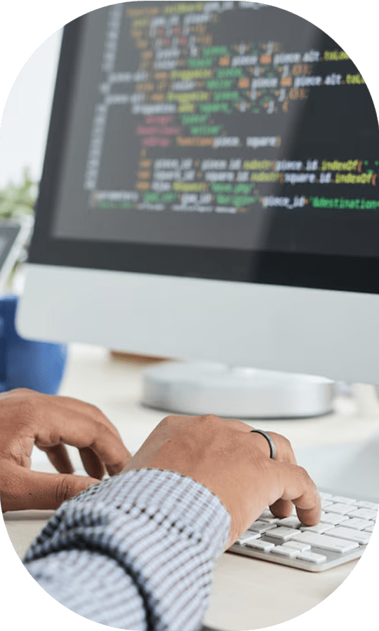 Web Developer